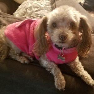 Meet your Posher, Heidi